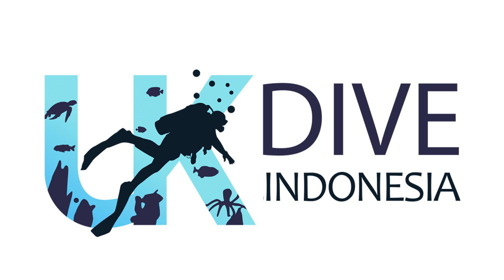 Client 11